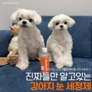 마이펫톡톡 | 다이소 입점템으로 강아지눈물자국 해결?! 헬로마이펫 멍뭉 눈물세정제 사용기📝