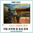 토성 | 시드니 천문대 투어 예약 및 후기, 직접 망원경으로 토성까지 봤어요