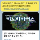 리노미노