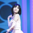 데이비니 이미지
