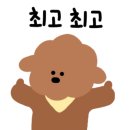 11호일광호