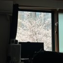 APR2 사랑이란 대가가 없는 것