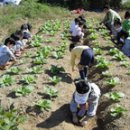 권순호농장 이미지