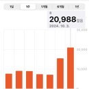 더팀 | 부산국제영화제 자원봉사 합격 후기와 활동 1-3일 차 ͙͘͡★