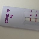 양천구의회 | 양천구보건소 선별진료소 PCR검사 22년 3월 /자가키트양성 / 목동 병원PCR검사 불가안내 받았어요
