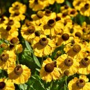 한누리 행정사사무소 이미지