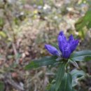 경화여인숙 이미지