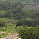 산천초목 이미지