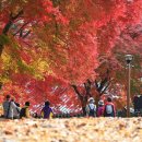 마곡사경내 이미지