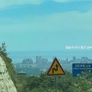 송지호모네블루