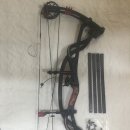 2013년식 카본 엘리먼트 G3(판매완료) 이미지