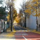 선곡초등학교 이미지