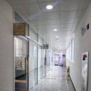 띠모왁싱
