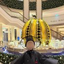 파라다이스유치원 | 인천 파라다이스시티 디럭스 트윈 숙박 후기