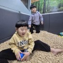 청주 가경동 아이조이 실내놀이터 키즈카페 후기 (8살 아이 둘이 놀기 좋은 가성비 키카)