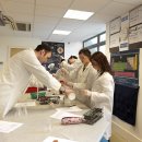 디엘디(DLD) 이미지