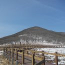 국립공원 ● 32. 설악산 - 점봉산 곰배령 숲길 이미지