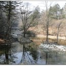 오대산가마솥식당 이미지