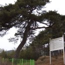 일강김철선생기념관 이미지