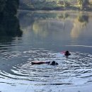 자인119안전센터 이미지