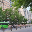 장미아파트 앞 | 임장일기 - 서울 송파구 잠실 장미아파트 방문 후기 및 매매가가 높은 이유 분석