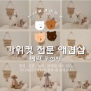 온니애견미용 이미지