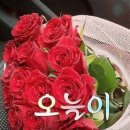 오늘도 Daum카페