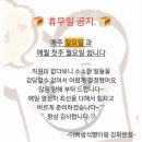 아빠랑 식빵이랑 | 강화카페 아빠랑식빵이랑 강화본점 분위기