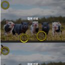 미앤클린의원 이미지