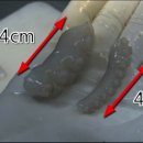 무교동낙지 - 서대문구 통일로40길 9 | 무교동낙지