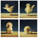 서울시야생동물센터 이미지