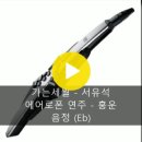 에어로폰 연주 - 가는세월(서유석) 이미지