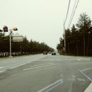 테라행정사사무소 이미지