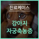 해든동물병원 이미지