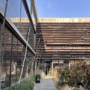 학동농장 | 학동역 브런치 모스가든 메뉴 추천, 솔직 후기