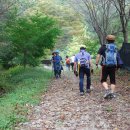 고려궁성곽길 이미지