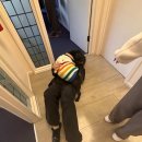 토이포이(TOY POY) | 03. 오클랜드 근교 여행