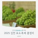 박상현농장 | 2025 김천포도축제 일정, 라인업, 체험 총정리