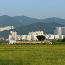 전천 둔치주차장(우안) | 부산 대저생태공원 팜파스 :: 해질녘에 다녀온 후기
