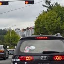 팔봉1교 다리 밑 | 육봉우회로? 그딴건 없어요 - 관악산 육봉능선 후기 (제발 가지마세요)