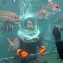 탐앤탐스 | 제주 동쪽 아이랑 가볼만한곳 김녕 아쿠아체험 언더워터플레이 씨워커 탐앤탐스카페 후기