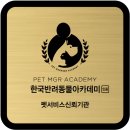 댓츠댕댕스쿨 이미지