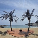 오보해수욕장 옆 | 헬리녹스 브리스톨 로얄박스가지고 간 영덕 오보해수욕장 하트데크 캠핑, 피크닉 후기.