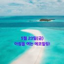 힐링 이미지