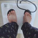 더벤티 평택고덕파라곤점 | 평택고덕헬스장 PT보다 만족했던 관리, 체지방 -12kg 내돈내산 후기