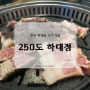 하대동250 | 진주 하대동 고기 맛집 250도 하대점 방문 솔직 후기