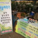 천지인농원 네이버블로그