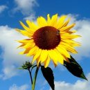 심심한의원 이미지