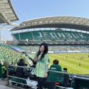 하나모터스 | [쿠팡플레이 슈퍼컵] 전북현대모터스 vs 대전하나시티즌 경기 직관 후기