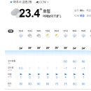 피클볼피플 이미지